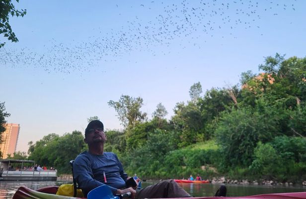 Downtown Houston Bat and Skyline Kayaking Tour