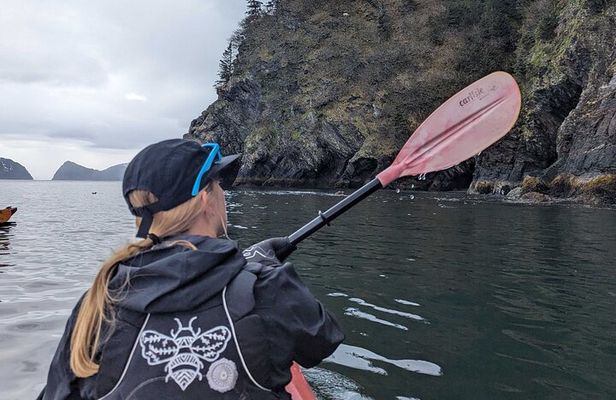 Resurrection Bay Waterfall And Rainforest Adventure