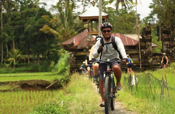 Downhill Cycling Ubud with Volcano, Rice Terrace and Educational