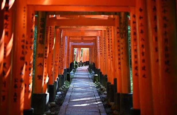 Private Kyoto Nara Tour by Car with Deer, Buddha and More