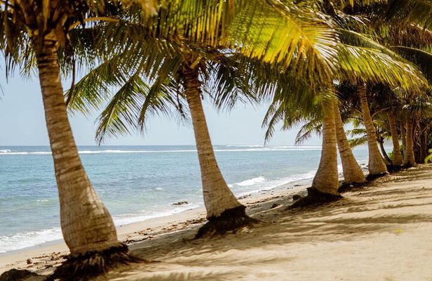 Upolu: Private Tour - Beach, Waterfall and Ocean Trench
