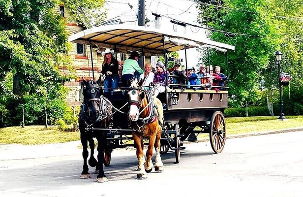 Horse Drawn Historical Guided Tour