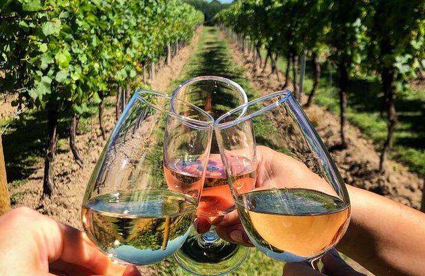 Rome Countryside Wine Tasting Tour with Private Driver and Guide