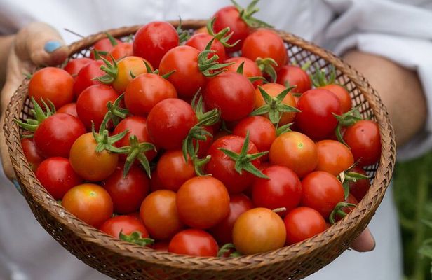 Greek 8 Course Cooking Class in Athens With Drink