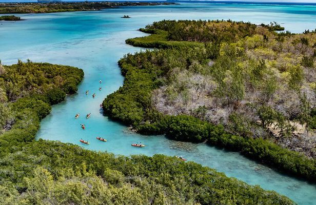 Kayaking Mangroves Mauritius