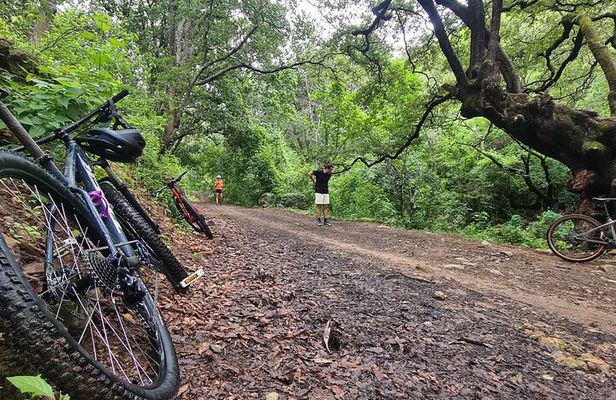 MTB Bike Tour: Santo Domingo Tomaltepec and Monkey Tree