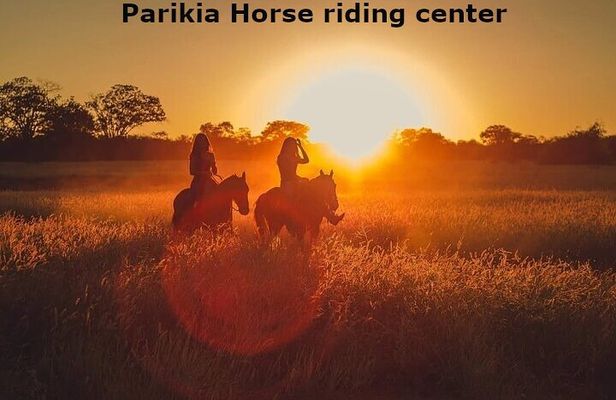 Sunset Landscape Horse riding in Paros