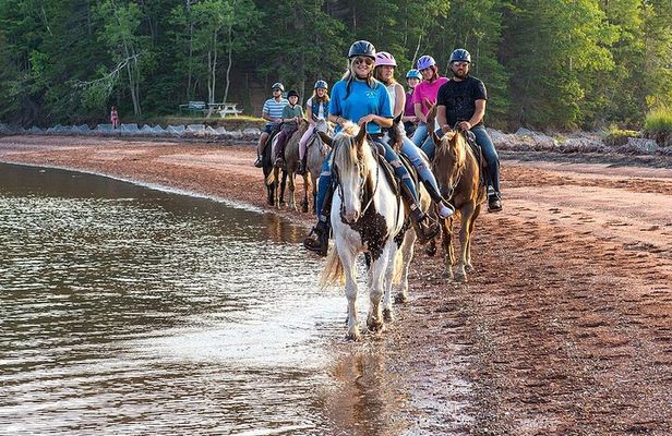 Beginner Brudenell Beach Trail Ride