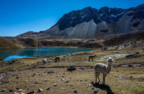 Hike to the 7 Ausangate lagoons 1 day