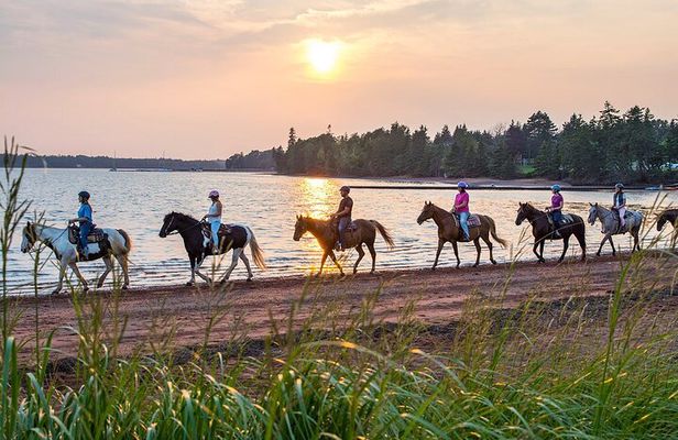 Lakeside Sunset Beach Ride