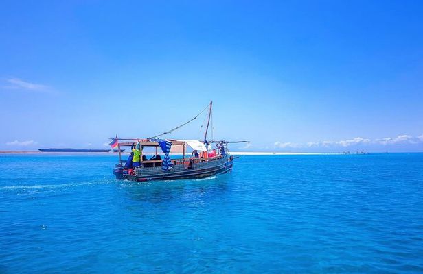 Full Day Dolphins Watching with Snorkeling in Wasini