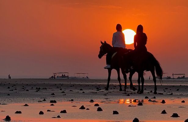Horseback Riding Muscat Beach