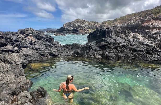 Island of Maui Customized Half Day Tour