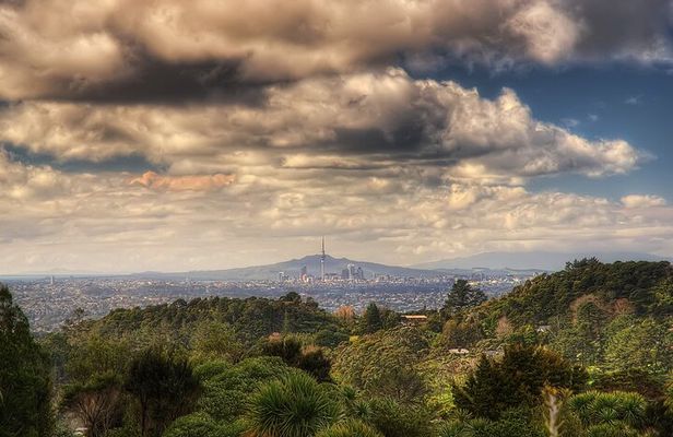 Ultimate Auckland Experience Full Day Tour with Brewery Lunch 