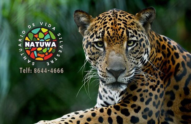 Natuwa Wildlife and Conservation Sanctuary