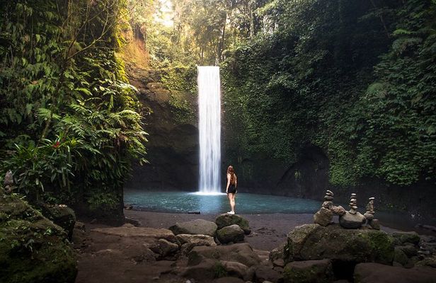 Best of Ubud Tours