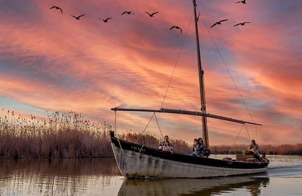 From Valencia: Albufera Natural Park with Sunset Boat Tour