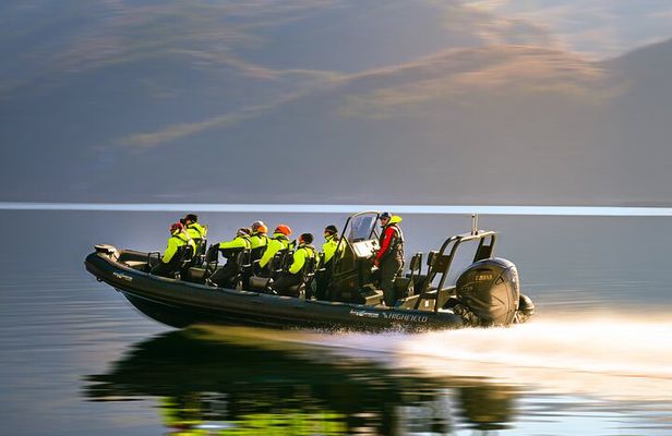 Rib adventure in the Lysefjord