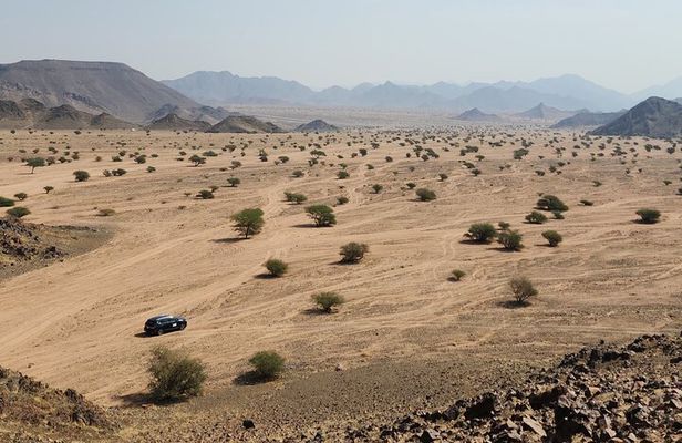 Mountain Hiking Experience in Nature Reserve Madinah