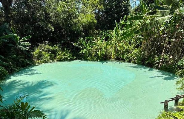 6 Day Tour to the Natural Paradise of Jalapão