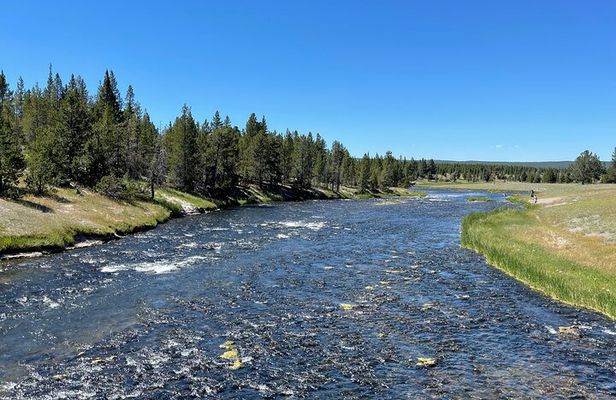 Yellowstone Bus Tour