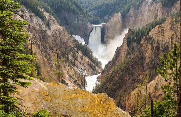 Yellowstone Private Tour Up To 14 - A Surprise Activity Included