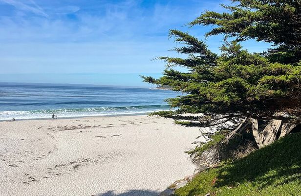 3-Day Private Pacific Tour to Big Sur, Hearst Castle, and More
