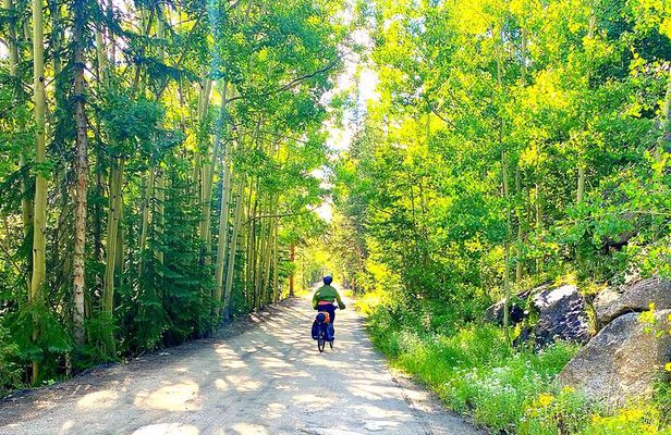 E-Bike & Brews: Denver's Platte River and Breweries E-Bike Tour