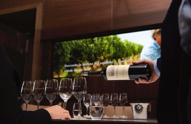 Santiago Private Don Melchor De Luxe Wine Tour