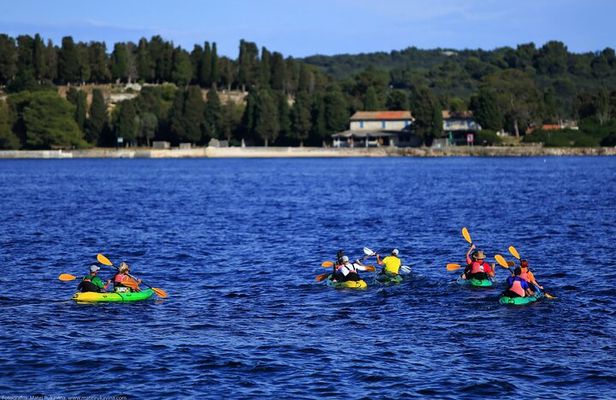 Brijuni Kayak tour with Full-Day Brijuni ticket included