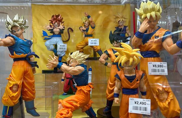 Akihabara Pop Culture Tour with Maid Café and UFO Catcher Fun