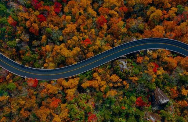 Full Day Tour from Atlanta to Amicalola Falls and Blue Ridge
