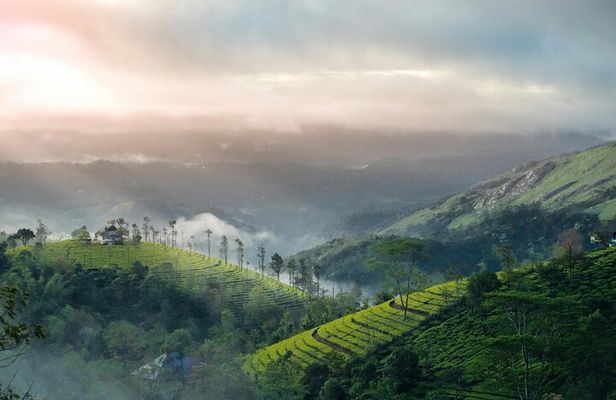 5 Day Kerala Tour from Kochi with Houseboat Stay