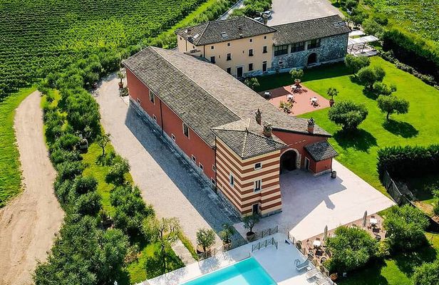 Vineyard tour with tasting of 4 wines on Garda Hills