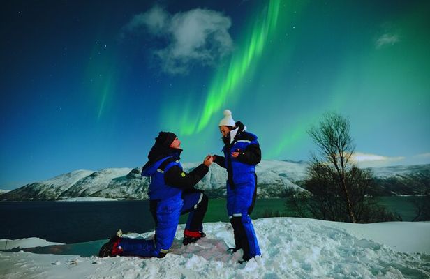 Tromsø Fjordland Aurora Chase Northern Lights by the Arctic Sea