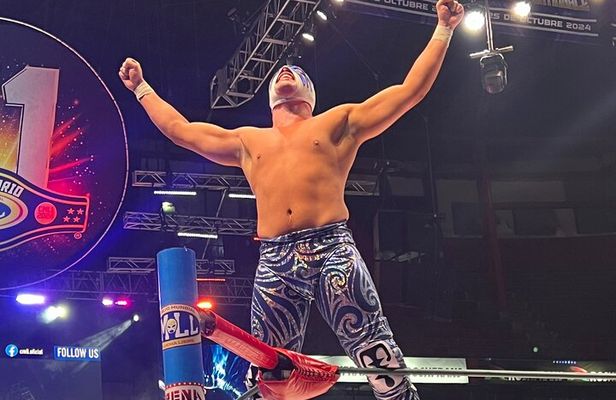 Lucha Libre Experience from the Best Area of the “Arena Mexico”