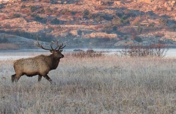 Lake Louise, Banff Gondola, Minnewanka and Banff Town Tour