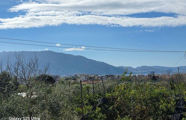 Pompeii : wine and oil tasting with aperitif on the Estate