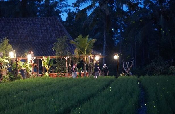 Ubud: Balinese Village Life, Organic Farm Dinner and Firefly Tour
