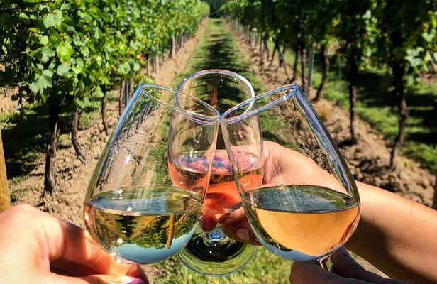 FOR CRUISERS:Kusadasi Port Private Wine Tasting and Ephesus Tour