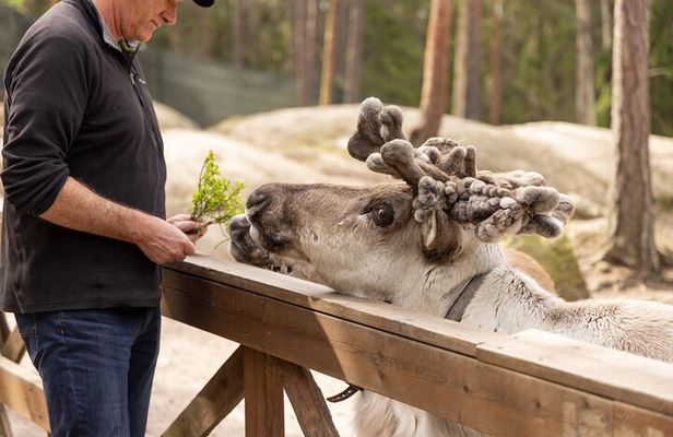 Reindeer Park Adventure
