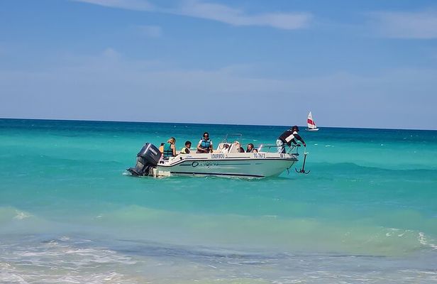 1h30 Sea Trip with Swimming and Dolphin Watching