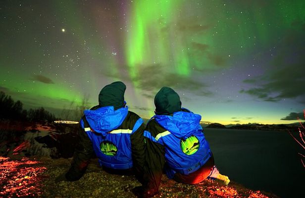 Tromsø Fjordland Aurora Chase Northern Lights by the Arctic Sea