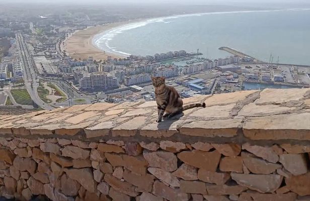 City Tour Agadir & cable car and ride camel