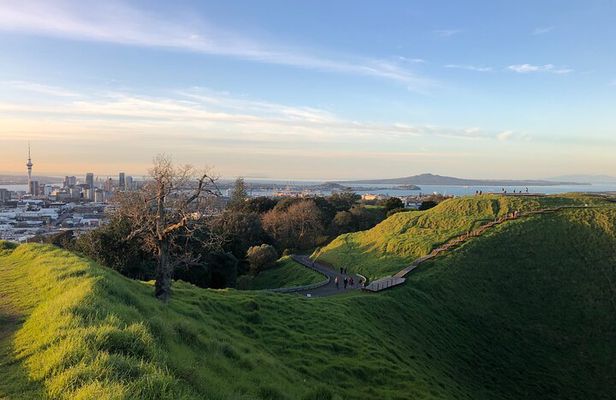 Private Auckland Tour
