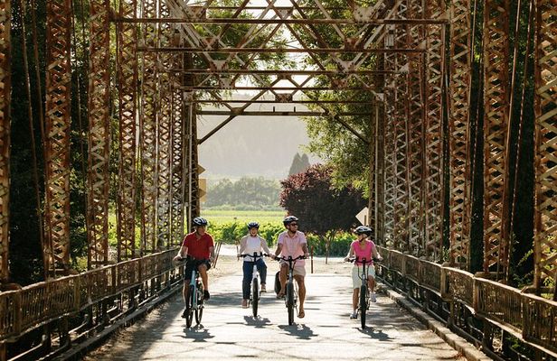Half Day Guided Electric Bike Wine Tasting Tour with Lunch