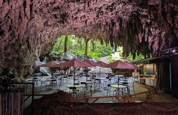 Private tour with local licensed interpreter guide w/van