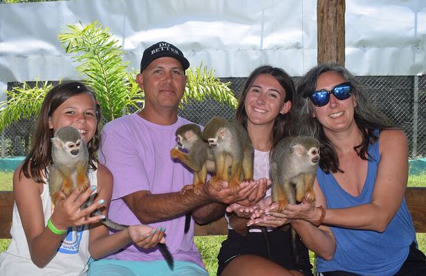 Fun Excursion to the Monkey Home and Waterfall Damajagua