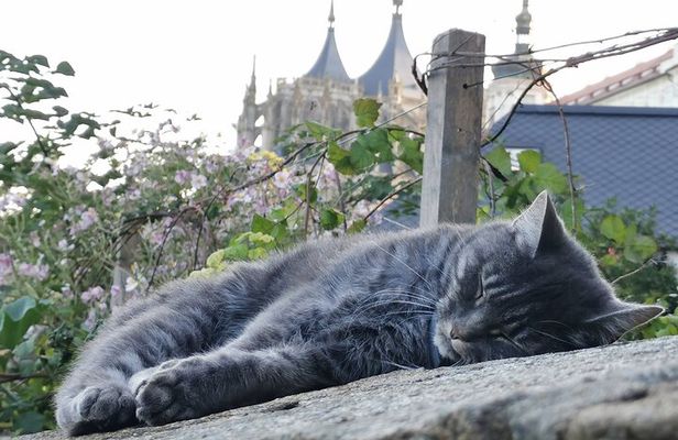 Kutna Hora and Czech Village Museum All Inclusive Tour
