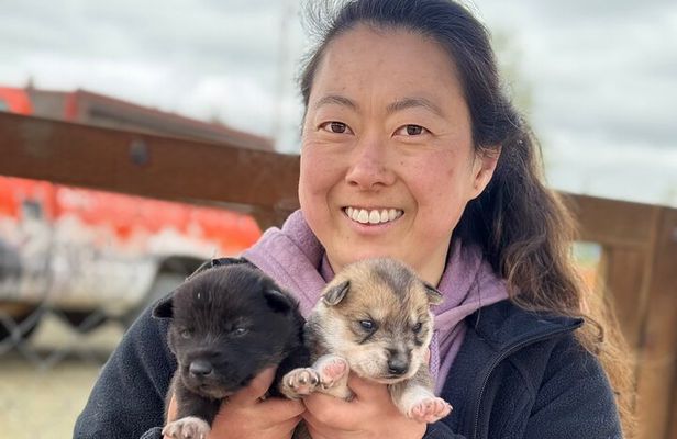 Anchorage's Authentic Dog Sledding Experience